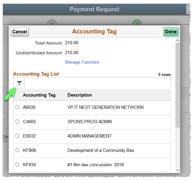 Screenshot: Accounting Tag window features a filter icon