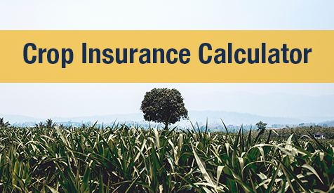 Crop Insurance Calculator